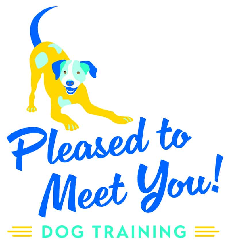 A logo with a blue, turquoise and yellow dog play-bowing and Pleased to Meet You! in a 1950s retro script in blue, and dog training below in all caps with yellow retro lines on either side.