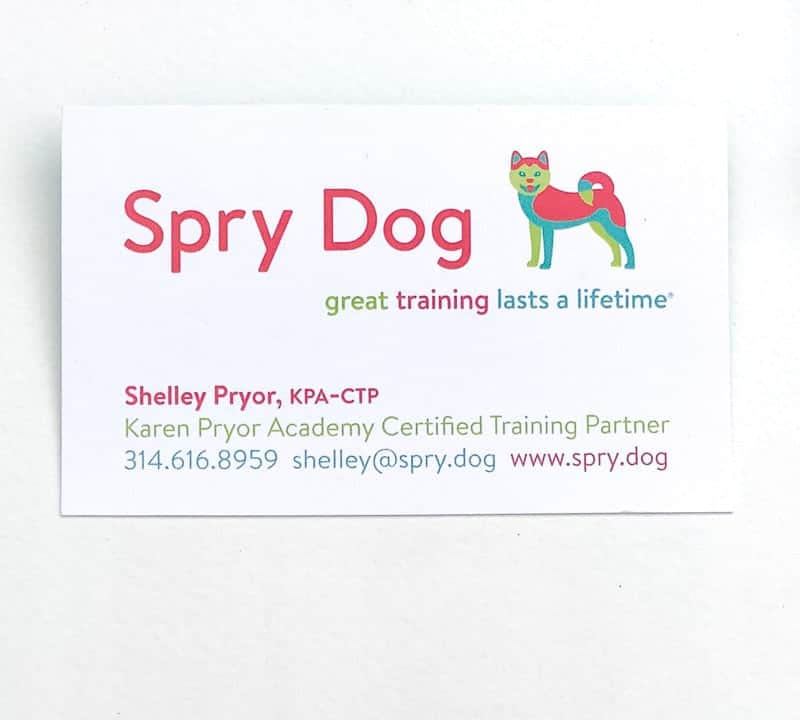Business card featuring custom logo for a dog training company featuring a red, turquoise and lime green illustration of an Akita dog.
