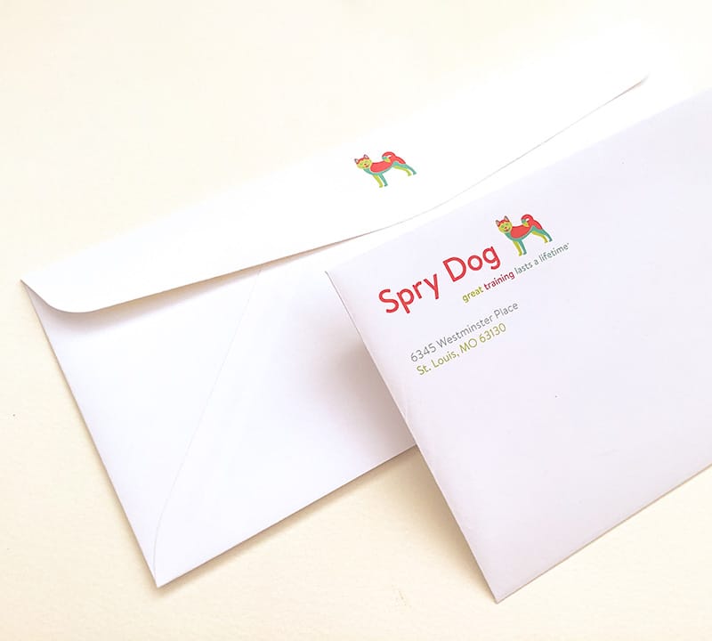Custom envelope featuring custom logo for a dog training company featuring a red, turquoise and lime green illustration of an Akita dog.