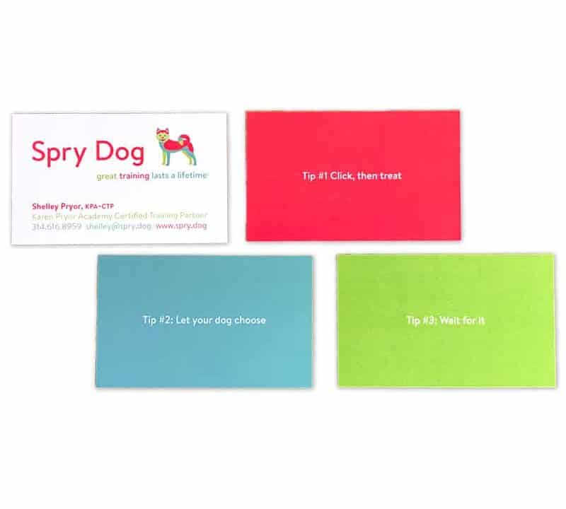 Business card featuring custom logo for a dog training company featuring a red, turquoise and lime green illustration of an Akita dog. The image also shows the backs of three business cards and they are each a different color with a different dog-training related phrase. There is red, turquoise, and lime green.